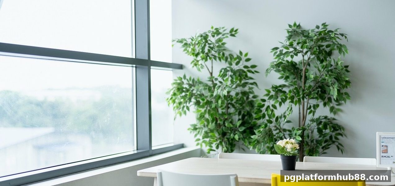 pg电子平台Habanero真人游戏进阶攻略:掌握互动体验与赢率提升之道