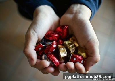 pg电子平台龙虎斗洗码返利详解：玩法规则与申请指南