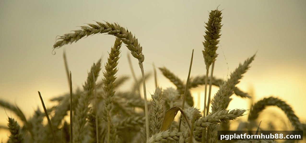 新手首存奖励完全指南：pg电子平台助你开启游戏新篇章