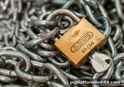 红中麻将平台信誉评估全攻略：pg电子平台教你慧眼识真